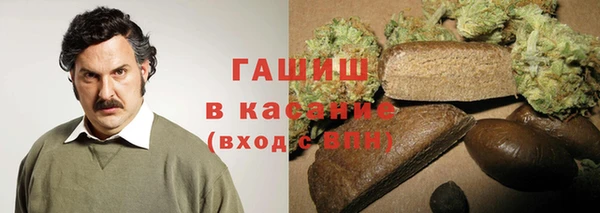 ПСИЛОЦИБИНОВЫЕ ГРИБЫ Новозыбков