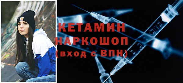 сатива Новокубанск