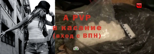 сатива Новокубанск