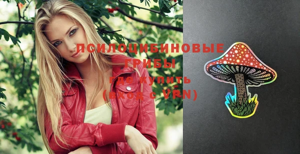 эйфоретик Абинск