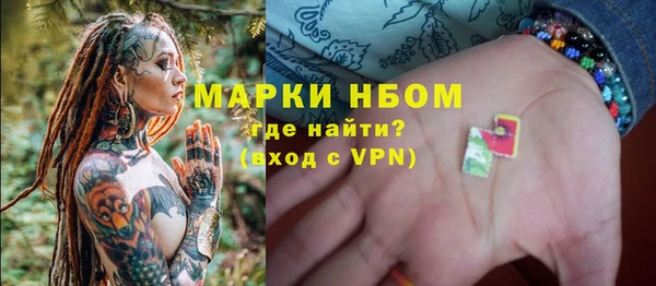 ПСИЛОЦИБИНОВЫЕ ГРИБЫ Новозыбков