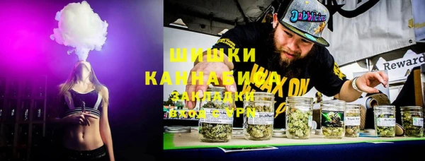 ПСИЛОЦИБИНОВЫЕ ГРИБЫ Новозыбков