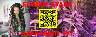 гидропоника Шебекино