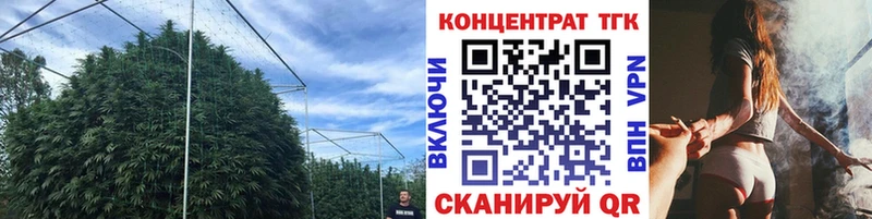 KRAKEN зеркало  Альметьевск  ТГК THC oil 