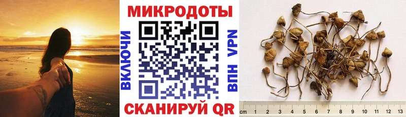 Галлюциногенные грибы Cubensis  Альметьевск 