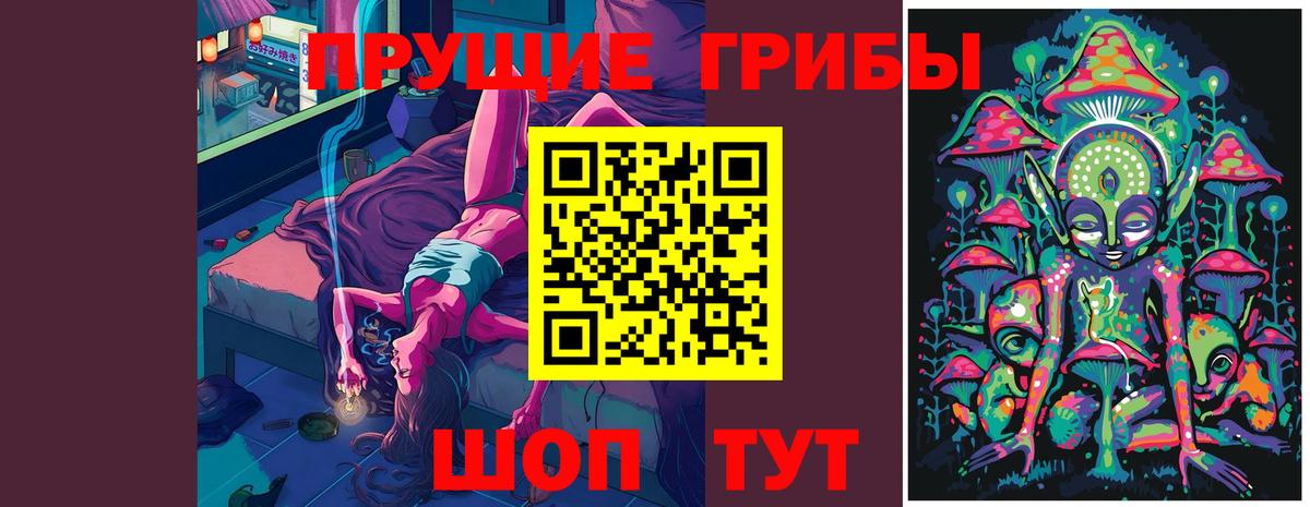 Псилоцибиновые грибы Magic Shrooms  Псилоцибиновые грибы GOLDEN TEACHER  Вход с VPN  Альметьевск 